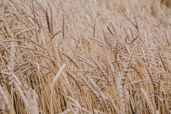 BBB-77.jpg BBB-77.jpg