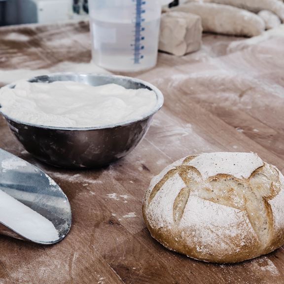 ökologie.jpg ökologie.jpg