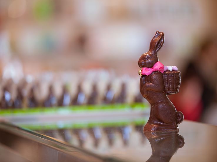 _MG_9665.jpg _MG_9665.jpg